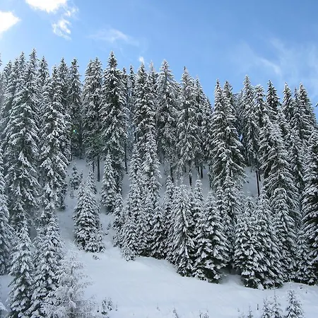 Krasi In Zornitsa Complex Stoykite